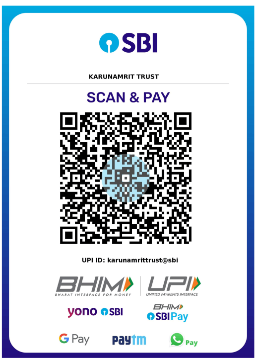 UPI QR Code